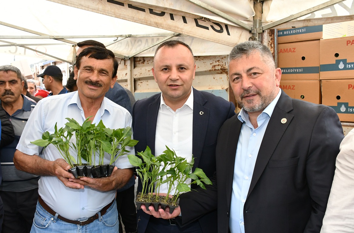 İBB’den Amasya’ya fide desteği